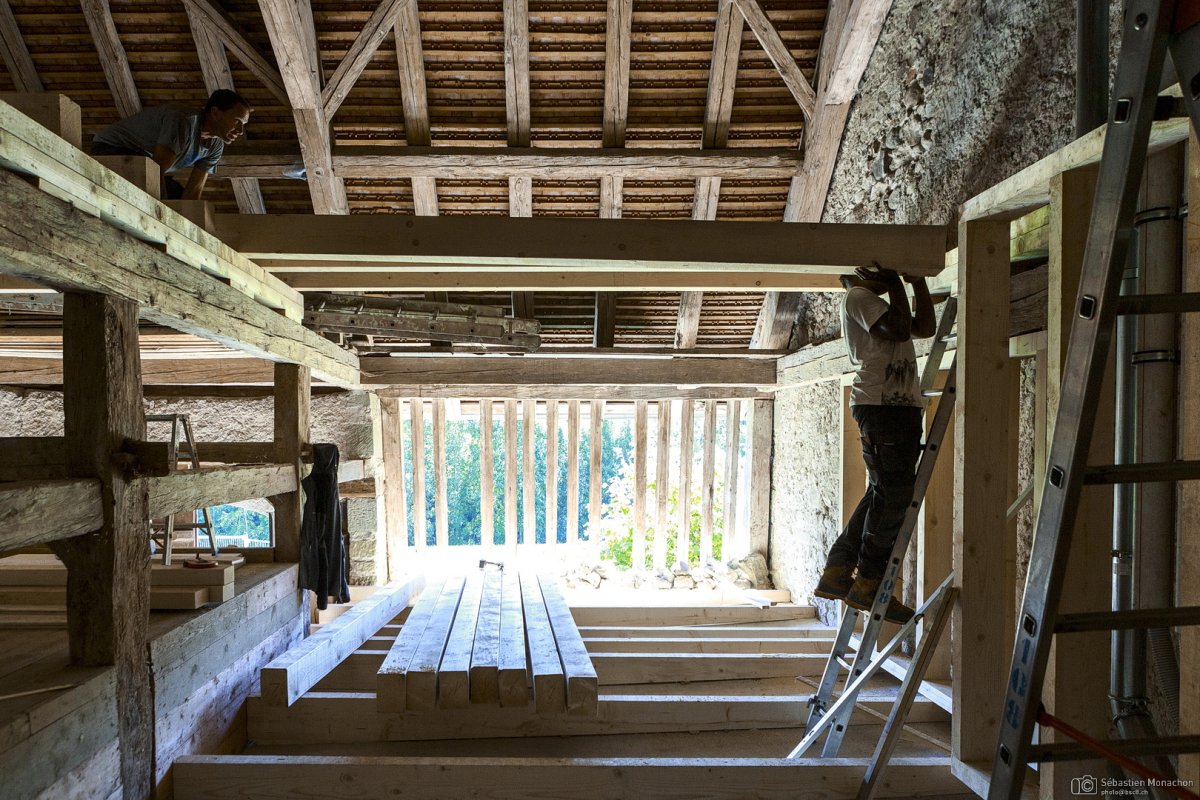 De la forêt à la charpente